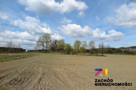 Działki budowlane 10 km od Torzymia